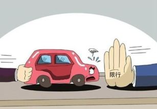 達沃斯期間道路貨運車輛限行通告 保障會議順暢，優(yōu)化城市交通