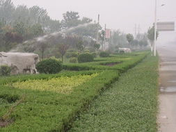 濰坊麗景園林 一站式園林綠化工程設計及施工服務