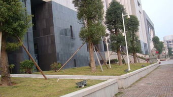 蘿崗新法院03園林綠化工程設計及施工——廣東綠化工程的典范